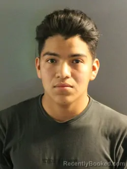 Mugshot of SERGIO JESUS BACILIO booked in Charlotte County, Florida on April 7, 2026