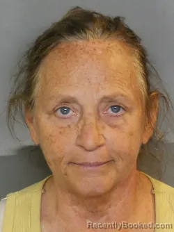 Mugshot of SHERRY DENISE JOHNS booked in Charlotte County, Florida on April 29, 2026