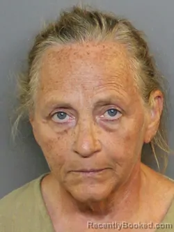 Mugshot of SHERRY DENISE JOHNS booked in Charlotte County, Florida on June 15, 2026