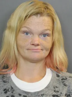 Mugshot of Theresa De Anne Johnson booked in Charlotte County, Florida on October 8, 2026
