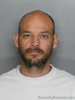 Mugshot of TODD LUIS JOHNSTON