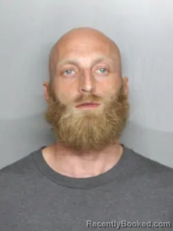 Mugshot of WILLIAM HOWARD JOHNSON