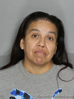 Mugshot of AMANDA DELIA LUNA