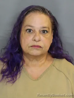 Mugshot of CHERYL ANNE LABOR booked in Charlotte County, Florida on May 20, 2026