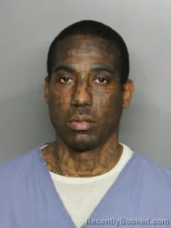 Mugshot of DAVID LITTLES