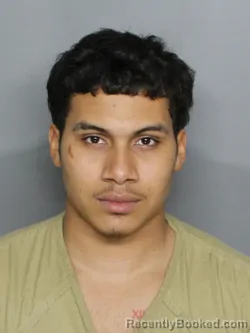 Mugshot of DAVION LEMAN LOWERY