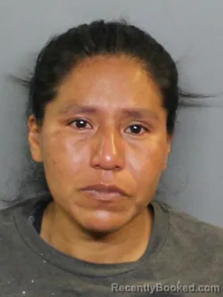 Mugshot of EVERILDA ISABEL LOPEZ ITZEP booked in Charlotte County, Florida on June 25, 2026