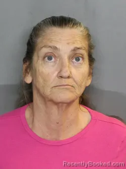 Mugshot of FLORENCE ANN LILLY booked in Charlotte County, Florida on April 7, 2026