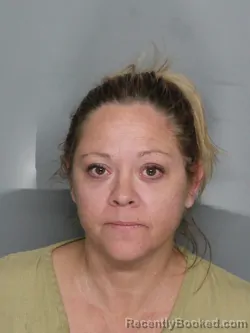 Mugshot of LINDSAY ANN LANIER