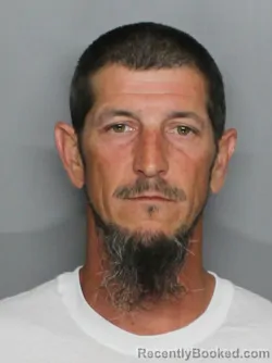 Mugshot of MARK ANTHONY LENART