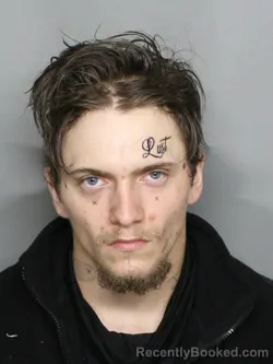 Mugshot of NATHAN RICHARD LEAVITT