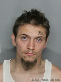 Mugshot of NATHAN RICHARD LEAVITT