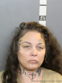 Mugshot of Shannon Nicole Lewis booked in Charlotte County, Florida on October 5, 2026