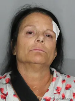 Mugshot of YVONNE M LAIT