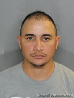 Mugshot of ALEXANDER JOSE MENDOZA PATINO booked in Charlotte County, Florida on April 25, 2026