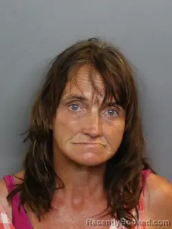 Mugshot of ANGELA RENEE MARINO booked in Charlotte County, Florida on June 25, 2026