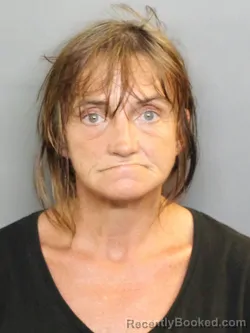 Mugshot of Angela Renee Marino booked in Charlotte County, Florida on August 13, 2026