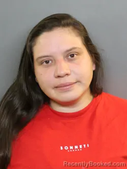 Mugshot of Diana Lorena Montero Rubio booked in Charlotte County, Florida on October 2, 2026