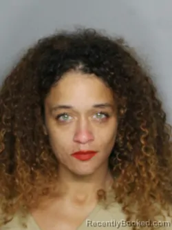 Mugshot of DESTANNEE SHANNAY MAHONEY