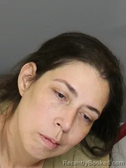 Mugshot of ERIN P MERRIWEATHER booked in Charlotte County, Florida on May 13, 2026