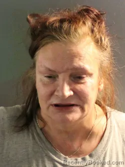 Mugshot of EVELYN SHIRLEY MILLER booked in Charlotte County, Florida on April 7, 2026