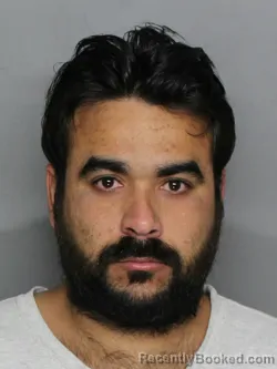 Mugshot of GILBERTO MILLO MILO