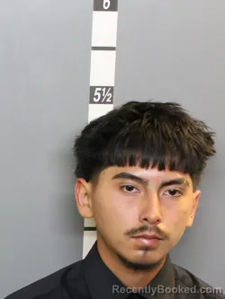 Mugshot of Junior Fabian Mayo Castillo booked in Charlotte County, Florida on September 30, 2026