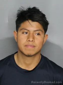 Mugshot of JUAN GERMIAS MEJIA TOJIN