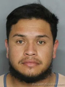 Mugshot of LUIS SALVADOR MEDINA REYES