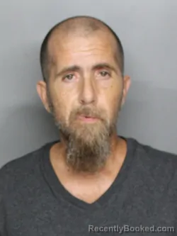 Mugshot of MICHAEL LAWERENCE MONGELLI