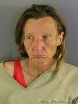 Booking photo from Charlotte County, Florida