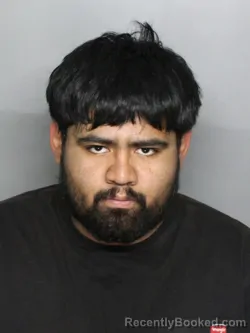 Mugshot of PABLO MEDINA CORTEZ