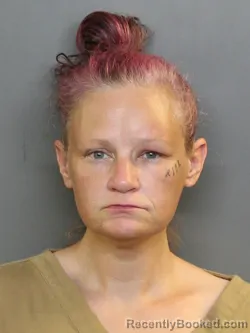 Mugshot of Rosielee Crowley Mendoza booked in Charlotte County, Florida on October 7, 2026