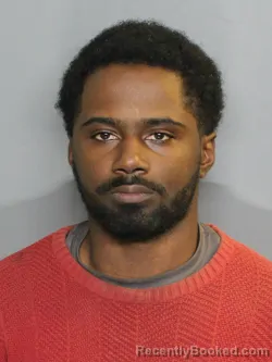 Mugshot of RAEGAN JABARI MCDONALD booked in Charlotte County, Florida on April 8, 2026