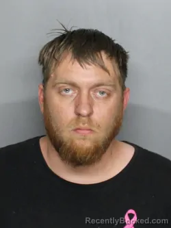 Mugshot of WESLEY SCOTT MCELROY