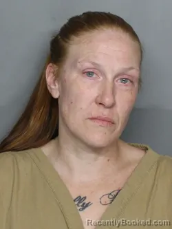 Mugshot of APRIL RENEE NOVAK
