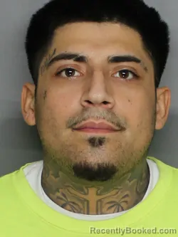 Mugshot of CESAR LEO NIEVES