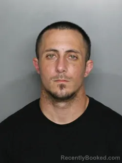 Mugshot of MICHAEL NABIH NOLAN