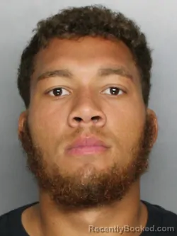 Mugshot of NELSON ALLEN NEGRON