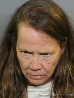 Mugshot of TRACEY ANNE NELMS booked in Charlotte County, Florida on June 15, 2026