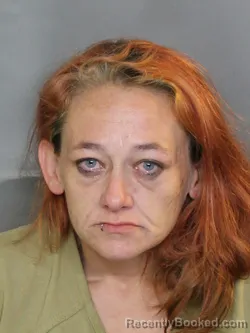 Mugshot of CATHERINE ANNE ONEILL booked in Charlotte County, Florida on April 26, 2026