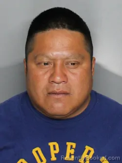 Mugshot of DARINEL ORDONEZ BECERRA