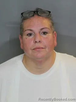 Mugshot of SHYLA MARIE ORTIGOZA booked in Charlotte County, Florida on April 10, 2026