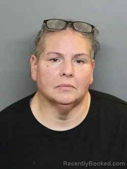 Mugshot of SHYLA MARIE ORTIGOZA booked in Charlotte County, Florida on June 10, 2026