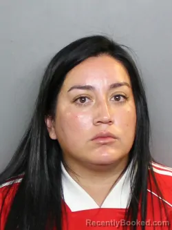 Mugshot of DANIELA PEREZ ZAMORA booked in Charlotte County, Florida on June 25, 2026