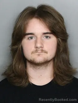 Mugshot of DYLAN MICHAEL PEACOCK