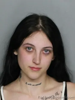 Mugshot of EMILY RENEE PETERSON
