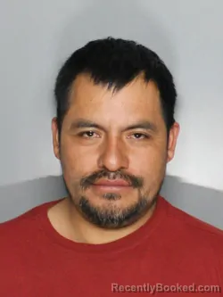 Mugshot of JOSE LUIS PEREZ LOPEZ