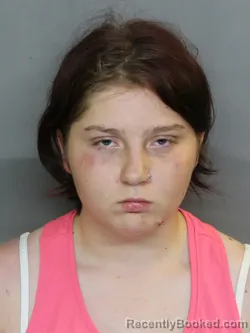 Mugshot of JAYLYNN M PICKERING booked in Charlotte County, Florida on May 14, 2026