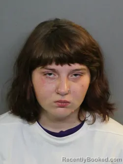 Mugshot of Jaylynn M Pickering booked in Charlotte County, Florida on August 20, 2026